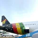 Aviationtag Boeing 777 - Black (Air Zimbabwe) N661WT